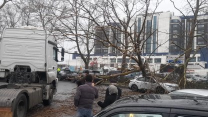 İstanbul'da fırtına: Ağaç devrildi, sahil yolları kapandı!