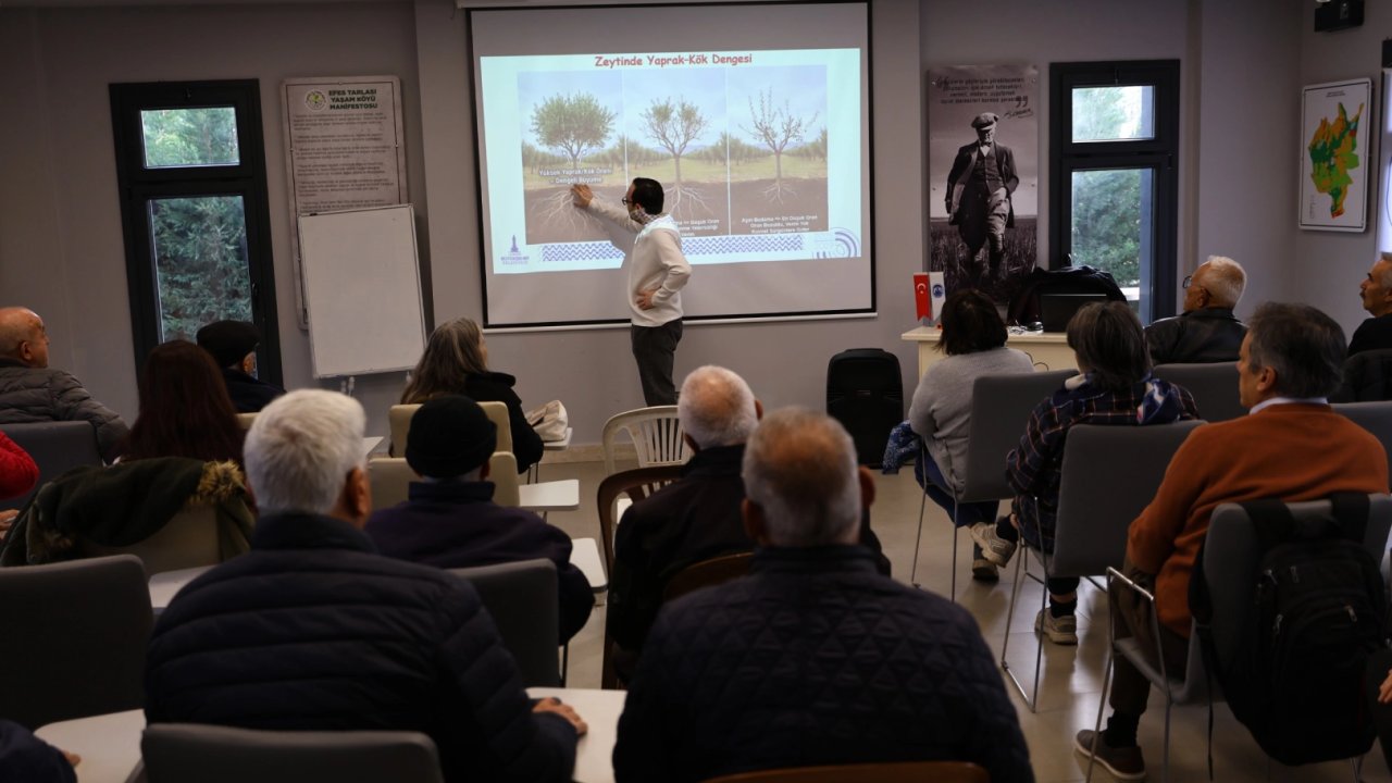 İzmir Efes Selçuk’ta üreticilere zeytin budama eğitimi