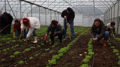 Kadın ve gençler tarıma kazandırılıyor