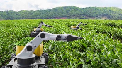 Kamu Teknoloji Platformu 2026'yı 'Kamusal Zekâ Yılı' ilan etti... Kamuda 'metal yaka' dönemi başlıyor