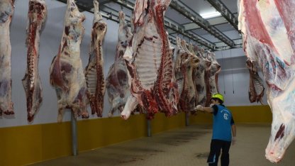 Kasapların tercihi Kocaeli Mezbahası