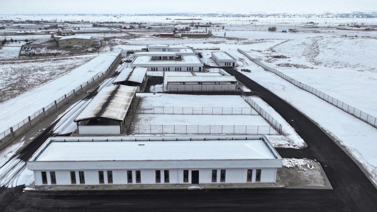 Kayseri Kocasinan'dan sokak hayvanları için sıcak yuva