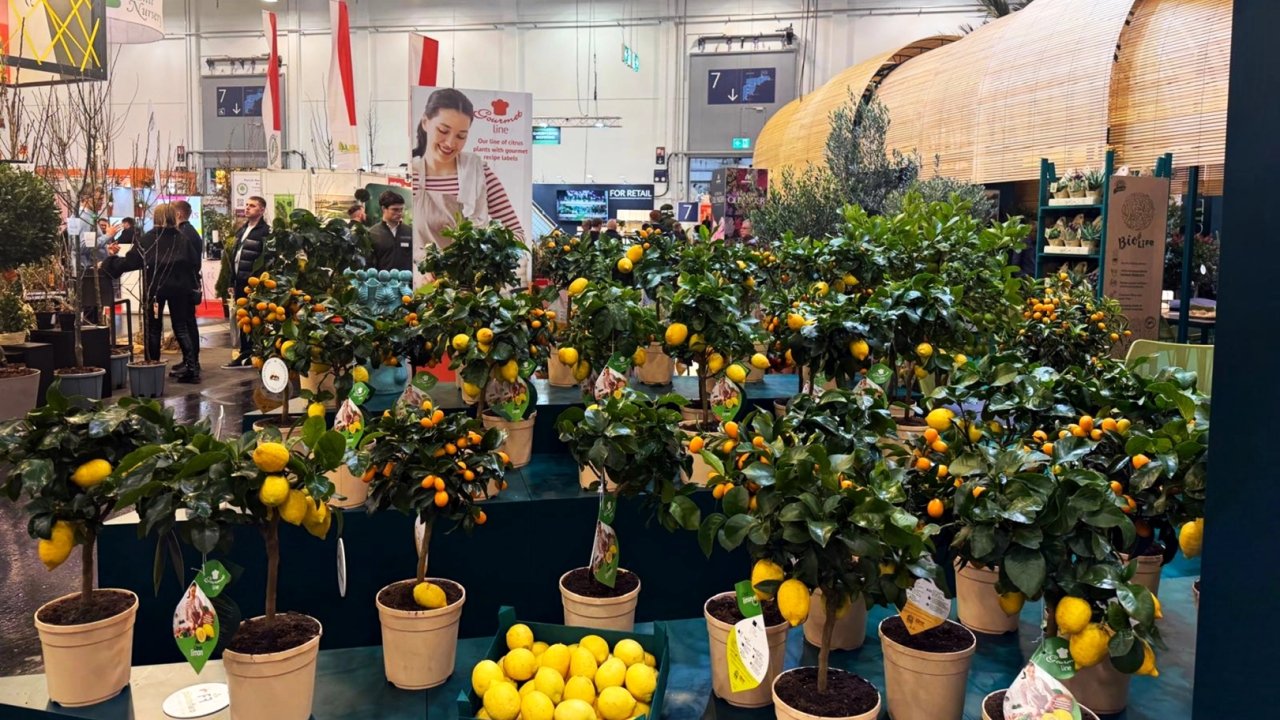 Kestel’in yeşil gücü Almanya’da görücüye çıktı