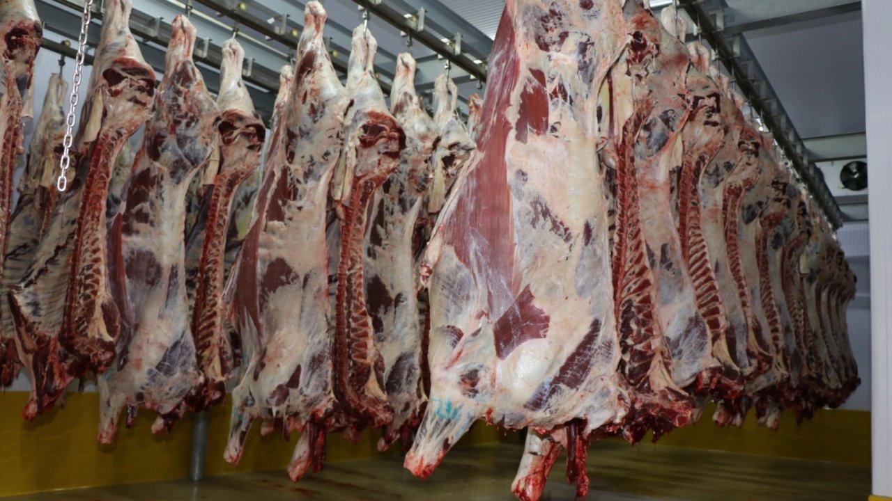 Kocaeli Mezbahası’nda 6 bin 29 kesim yapıldı