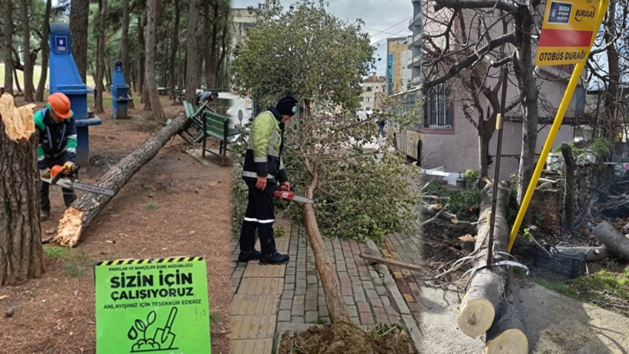 Lodos Bursa'yı vurdu! Büyükşehir sahada