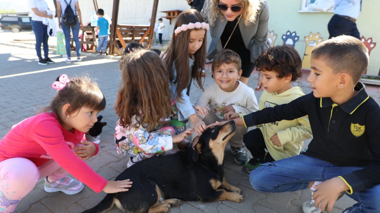 Muğla Büyükşehir 4 bin 34 cana yuva oldu