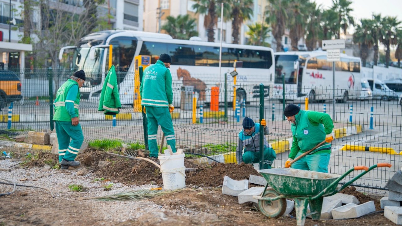 Muğla Milas yeşile bürünüyor