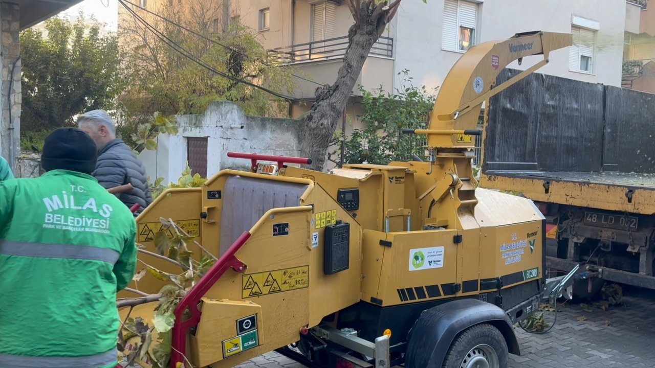 Muğla Milas'ta dal öğütme makinesi hizmette
