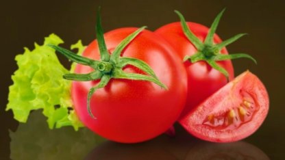 Muğla Milas'ta talep edene ücretsiz yerel tohum