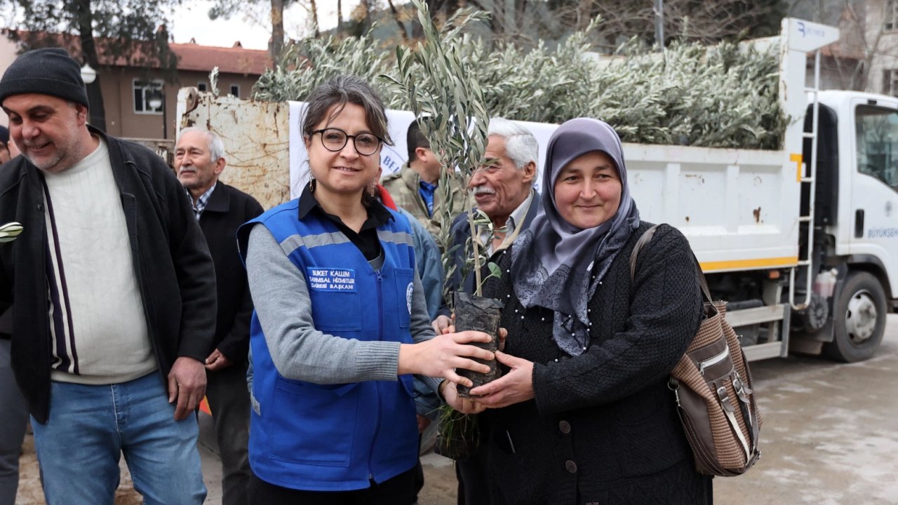 Muğla Ula’da üreticiye zeytin ve ceviz fidanı desteği