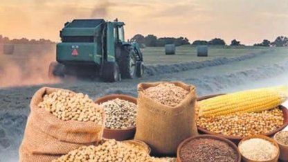 Tarım-ÜFE 2025'in son ayında da güçlü seyrini sürdürdü