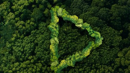 Yeşil Vatan finalistleri belli oldu... Ödüller 19 Ocak'ta