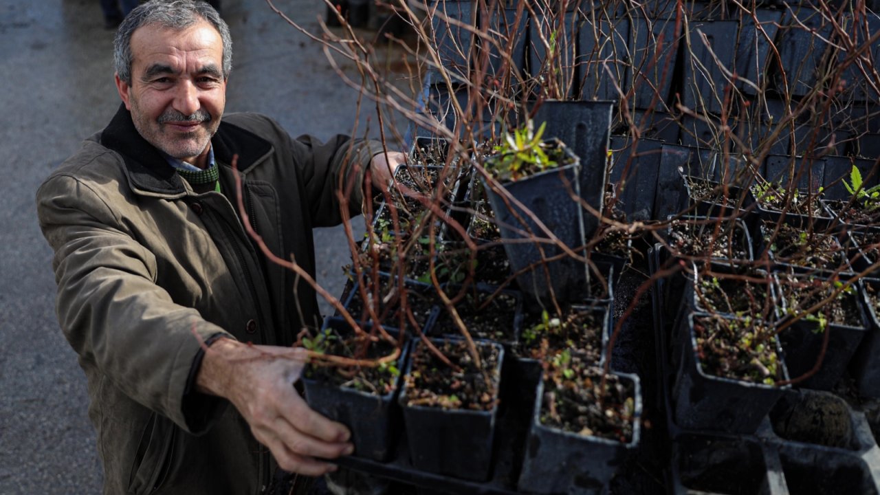 Bursa Büyükşehir'den kırsala fide ve fidan desteği sürüyor