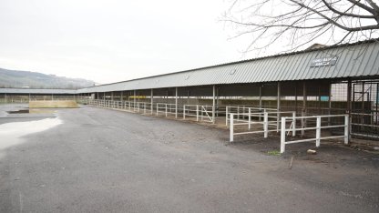 Bursa Yenişehir'de canlı hayvan pazarı yeniden açıldı