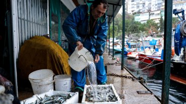 Bursa'da yüzde 100 hibeli mazot desteğine yoğun ilgi
