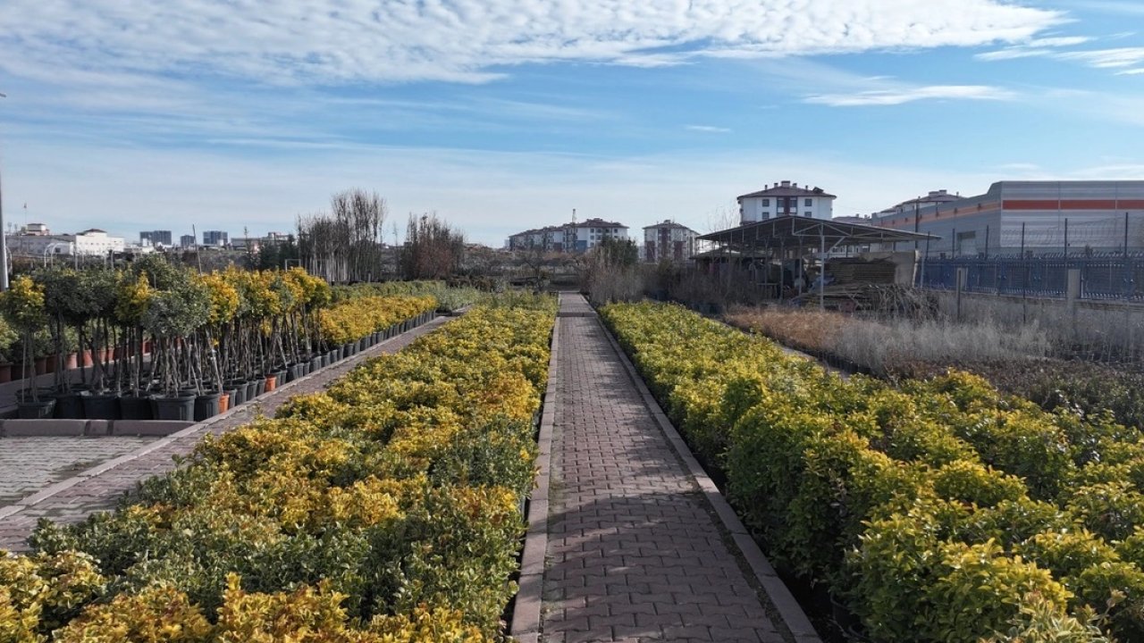 En büyük lojistik üssü fidanlığı Kayseri Kocasinan'da
