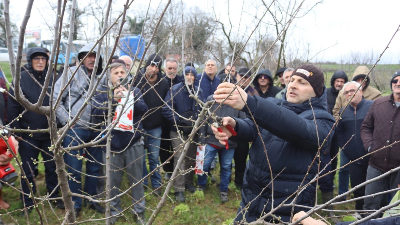 İzmit'te üreticilere uygulamalı budama eğitimi