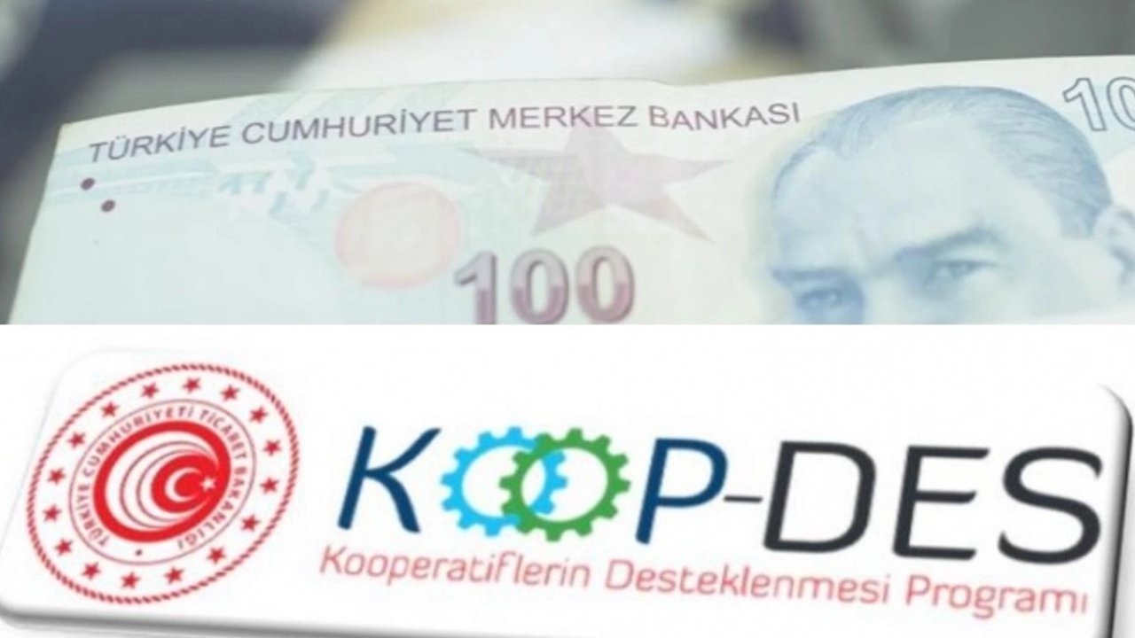KOOP-DES Yönetmeliği’nde değişiklik Resmi Gazete'de