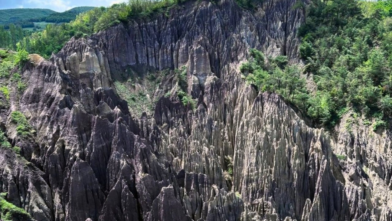 Korunan alan sayısı 692'ye yükseldi
