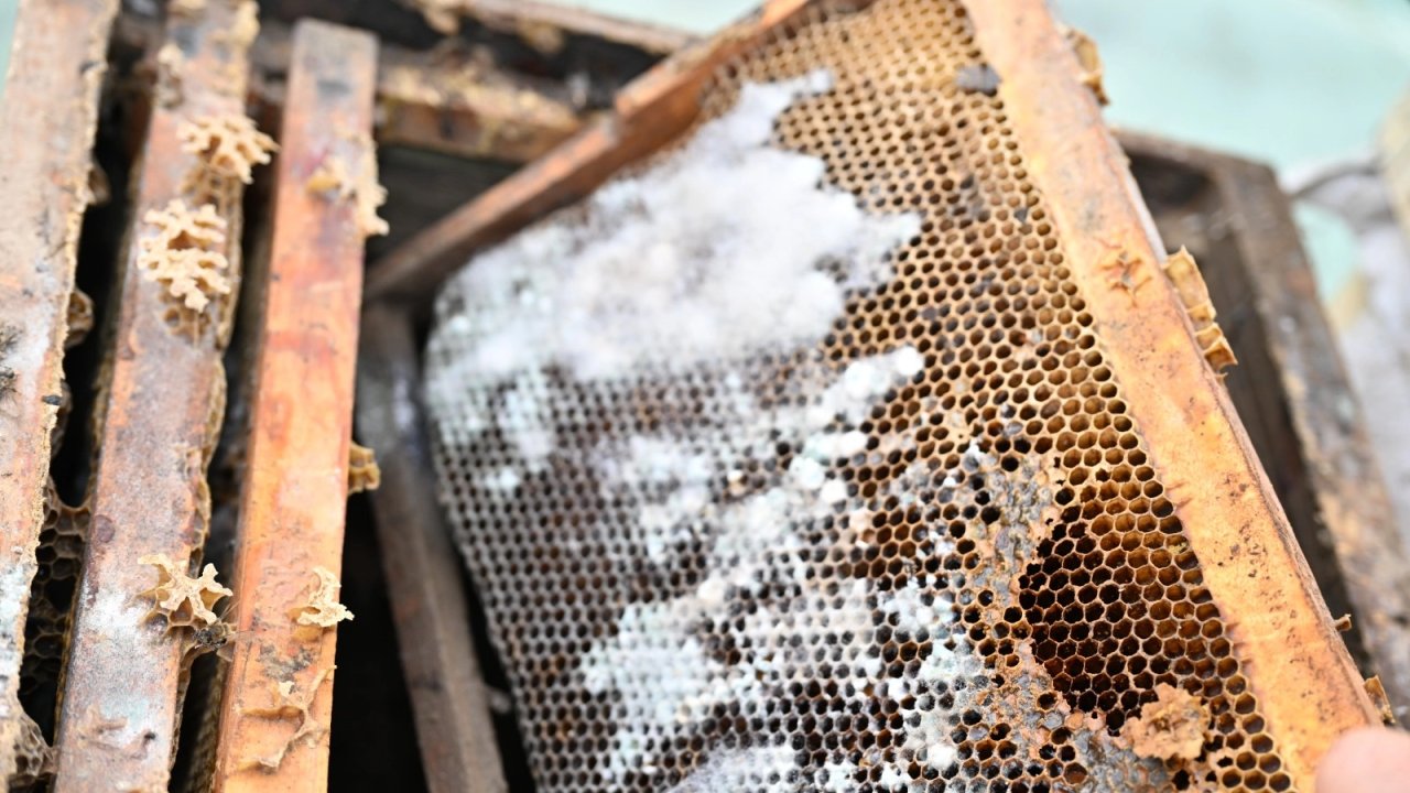 Manisa'da sel mağduru arıcıya kovan desteği