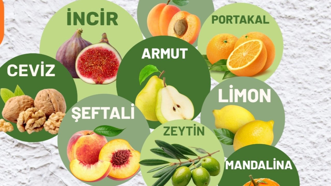 Muğla Milas'ta üreticilere fidan desteği sağlanacak