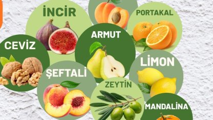 Muğla Milas'ta üreticilere fidan desteği sağlanacak