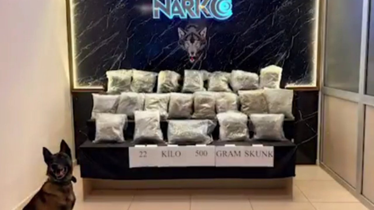 Narko Edirne, Hamzabeyli'de 22,5 kilo skunk ele geçirdi