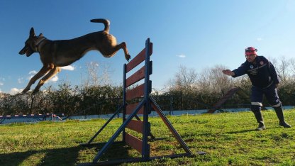 Sakarya'da Reina, Ateş, Google ve Labrador en zor anda ‘umut’ olmaya hazır kıta