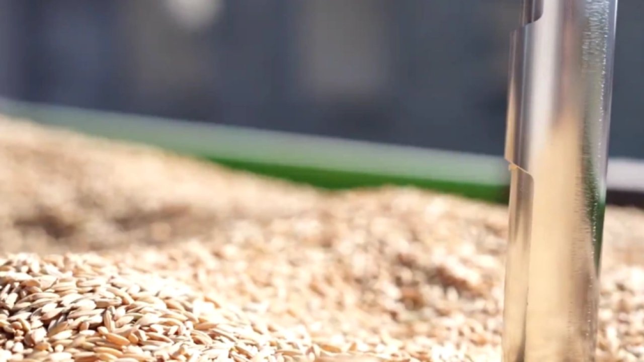 TMO’da çeltik alımları sürüyor