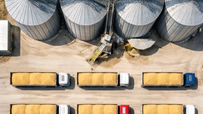 TMO’dan buğday satışı... 1,2 milyon ton stok günlük açık artırmada