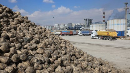 Üretici ortaklara pancar bedelleri ödeniyor
