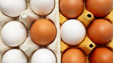 Yumurtanın doğrudan arzında limit artışı... Resmi Gazete'de yayımlandı