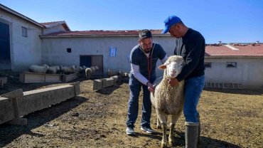 ABB'den kırsala veterinerlik hizmeti