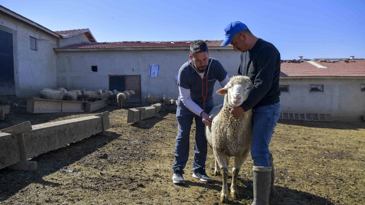 Ankara’da kırsaldaki üreticiye can suyu