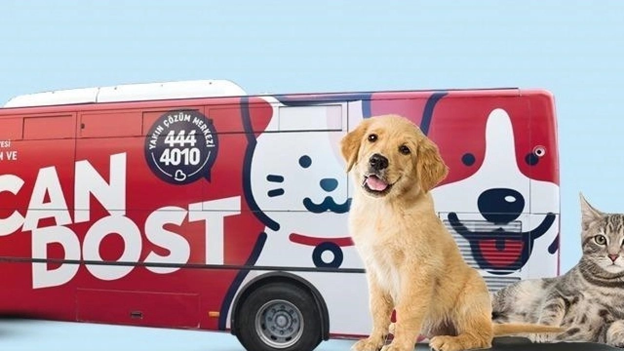 Balıkesir’de patili canlara mobil sağlık hizmeti