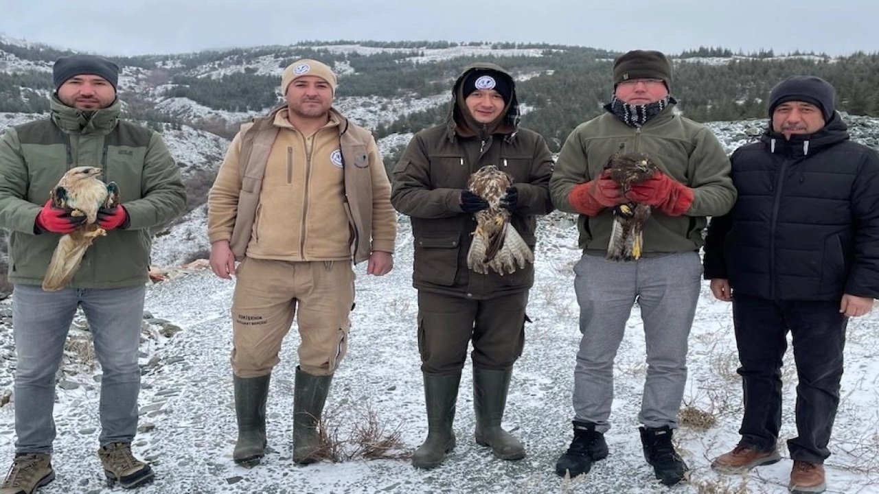 Eskişehir'de tedavi edilen yırtıcı kuşlar doğaya salındı