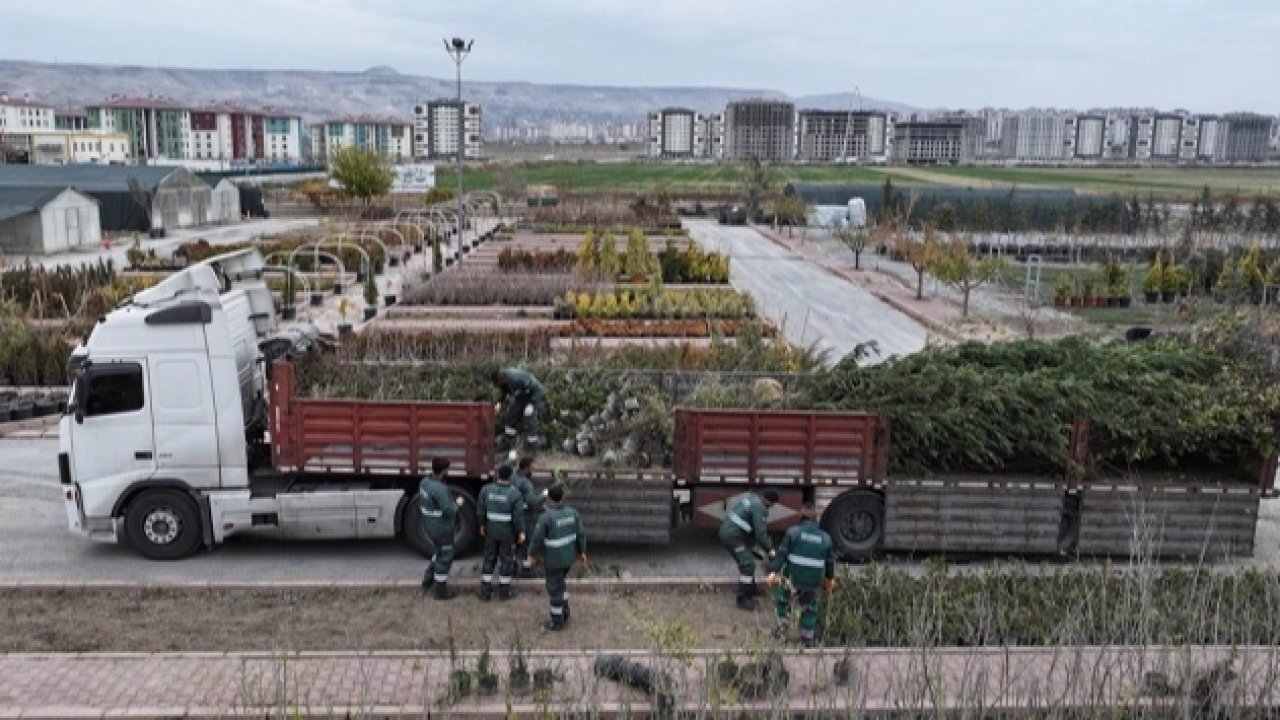 Kayseri Kocasinan'dan ağaç dikme rekoru