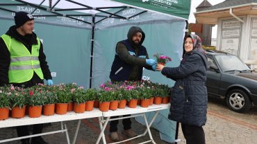Kocaeli Büyükşehir'den ücretsiz binlerce çiçek