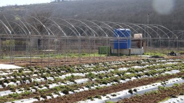 Kocaeli İzmit Belediyesi sebze serası kuruyor