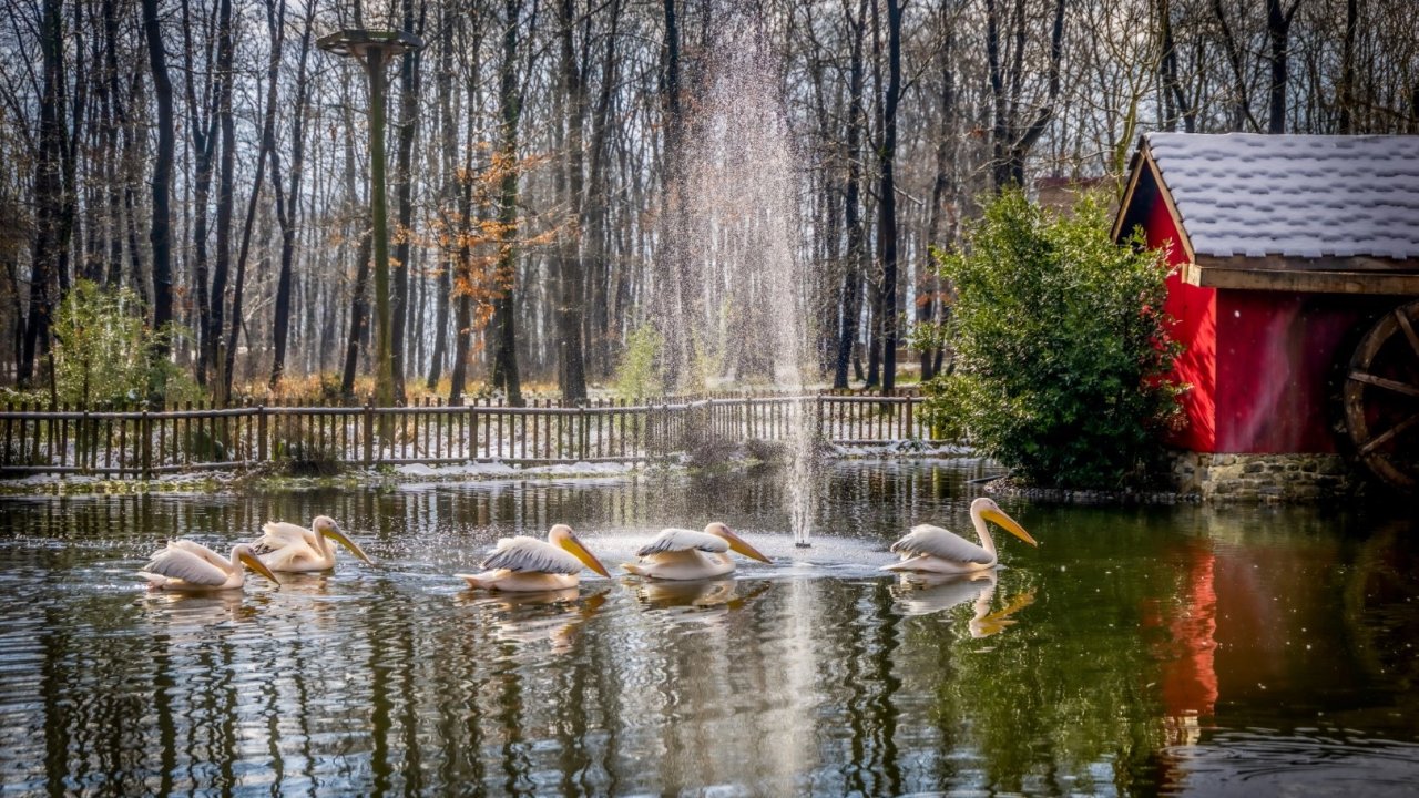 Kocaeli'de Ormanya ve Kuzuyayla ziyaretçilere hazır