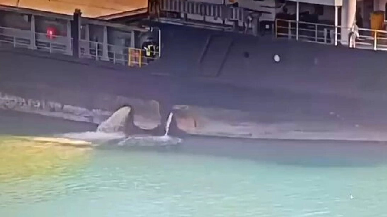 Mersin Limanı’nda denizi kirleten gemiye 13,1 milyon TL ceza