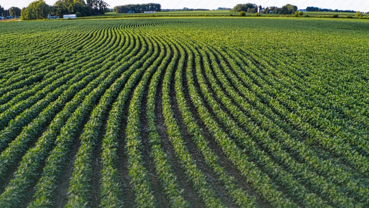 Tarım arazilerinin etkin kullanımı için hibe desteği
