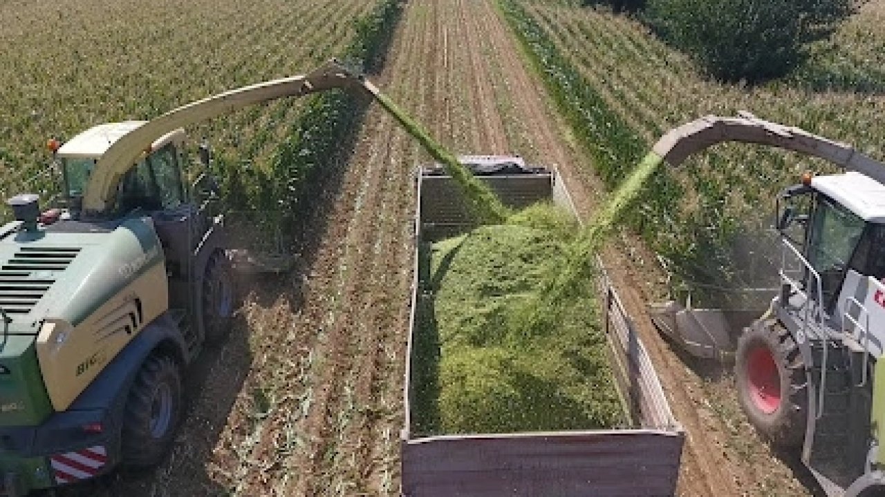 TİGEM’den bin 500 tonluk mısır silaj hizmeti ihalesi