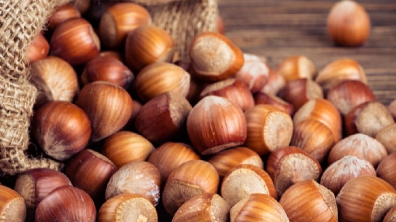 TMO'dan 'kabuklu fındık' açıklaması: Satışımız ve hazırlığımız bulunmamaktadır